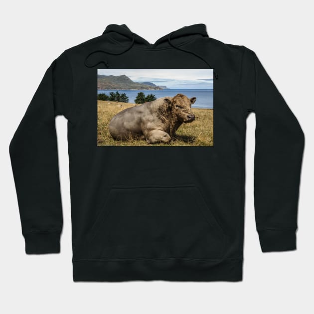 Paddock with View Hoodie by fotoWerner